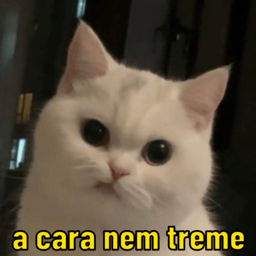 Figurinhas do dia 