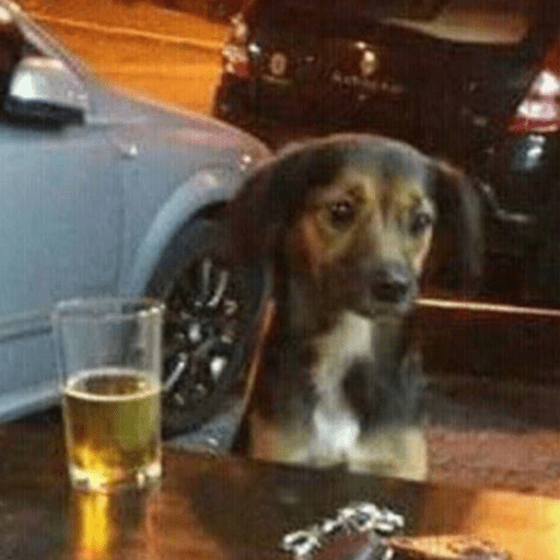 Sticker.ly Chat Stickers & Memes for WhatsApp