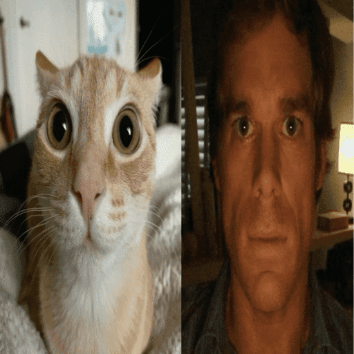 Fbii 22