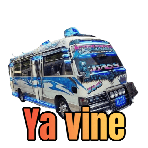 Buses y Microbuses 