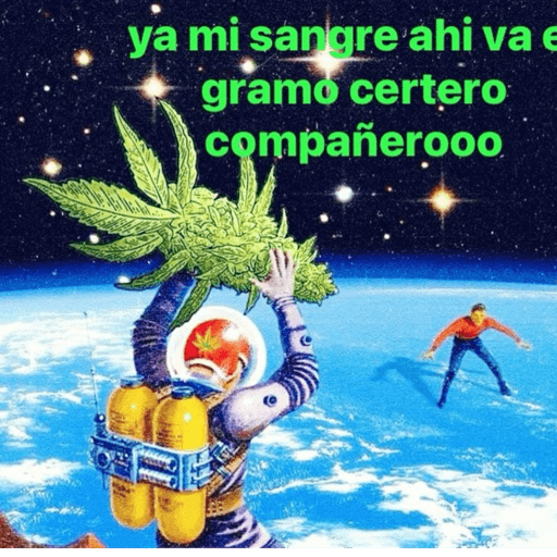 656565