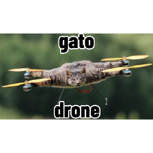 Drones
