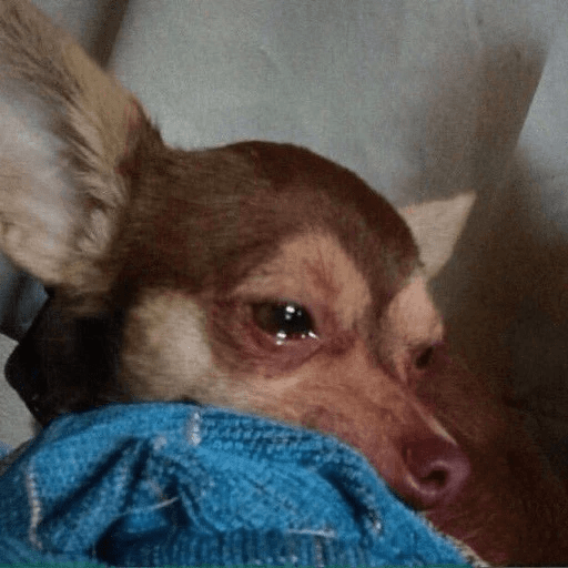 Sad 12