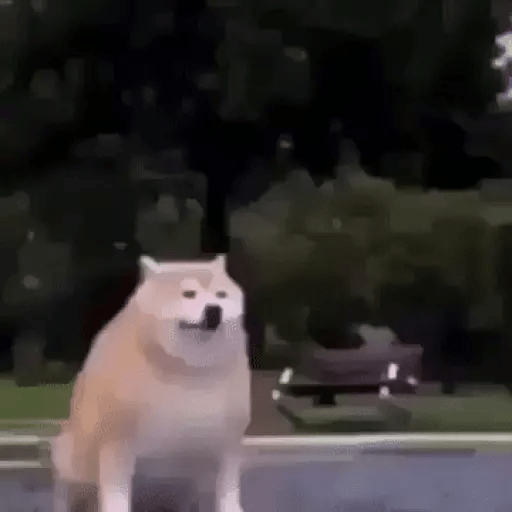 Sad 3
