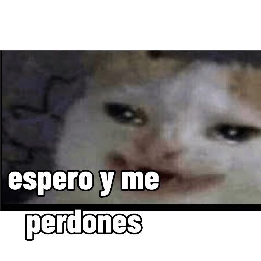Cuando estas enojado 5