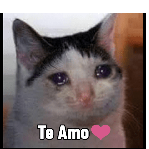 Cuando estas enojado 6