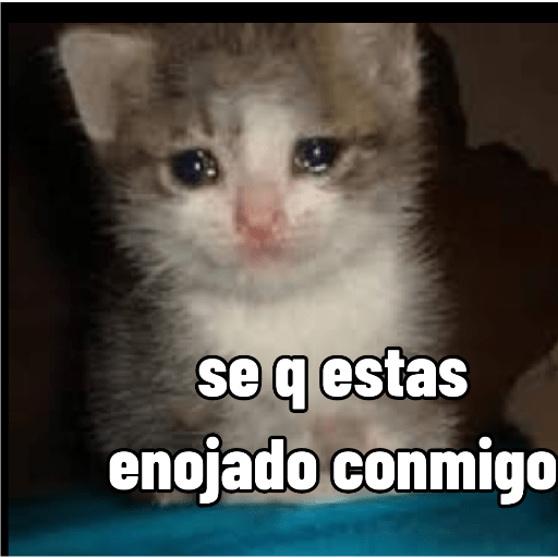 Cuando estas enojado 2