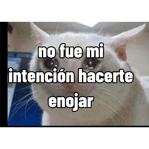 Cuando estas enojado 3