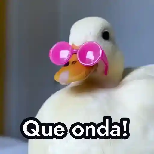 😸🐭Animalitos graciosos
