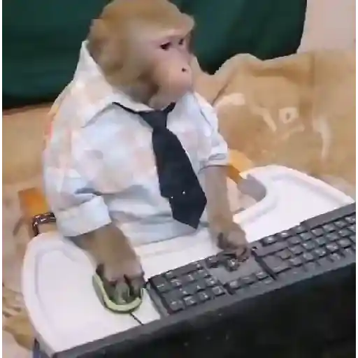 🐒🎅🏿monitos 2