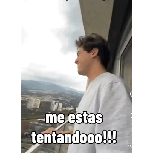 Lov 13