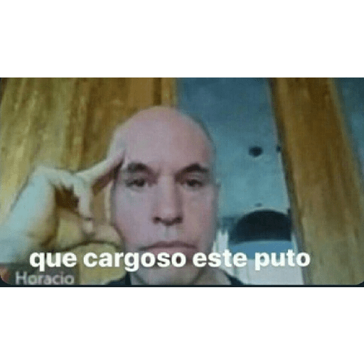 Gato 11
