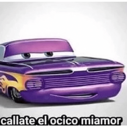 Gato 8
