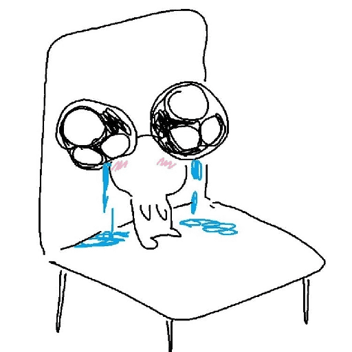 Gato 9