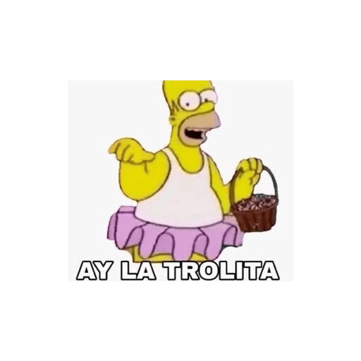 Gato 4