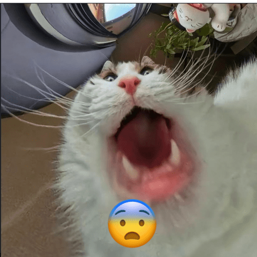 Poki 9