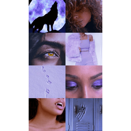 Clawdeen wolf 👑 19