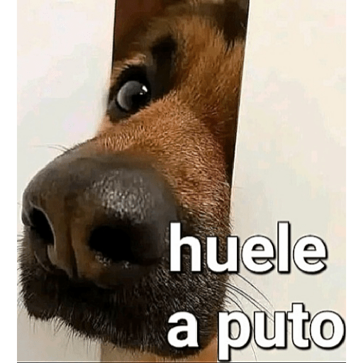 Holaaa 14