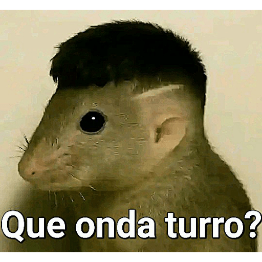 Holaaa 12