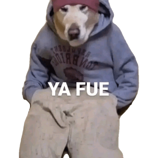 Holaaa 7