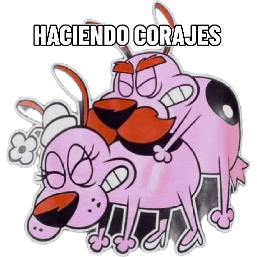 Paquete pongas 12