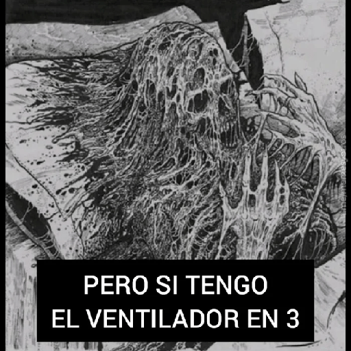 Paquete pongas 19