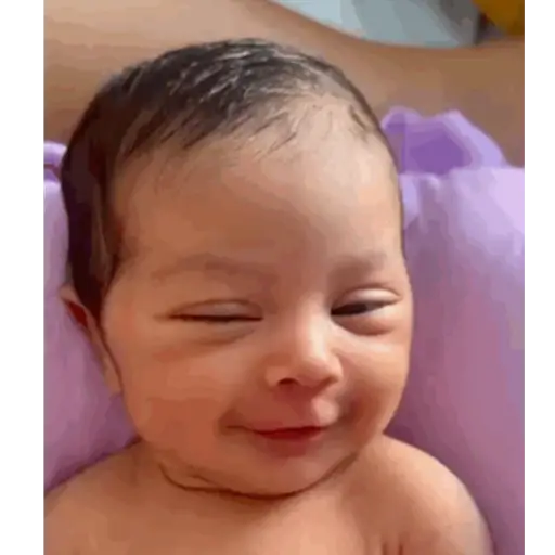 Ivy Princesa 5