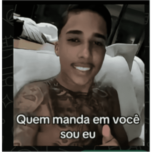 Minhas figurinhas 28