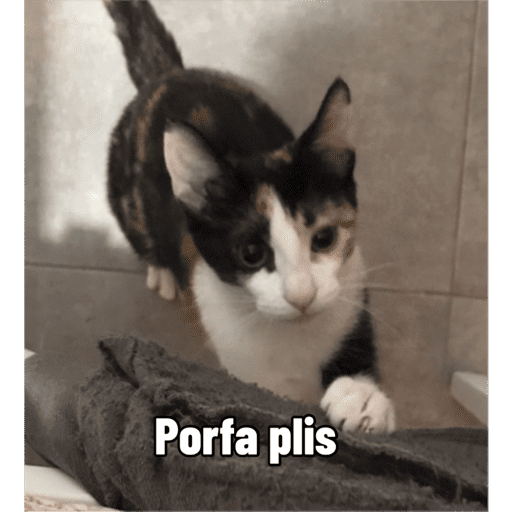 Sticker Image
