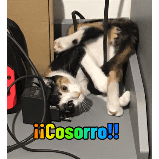 Sticker Image