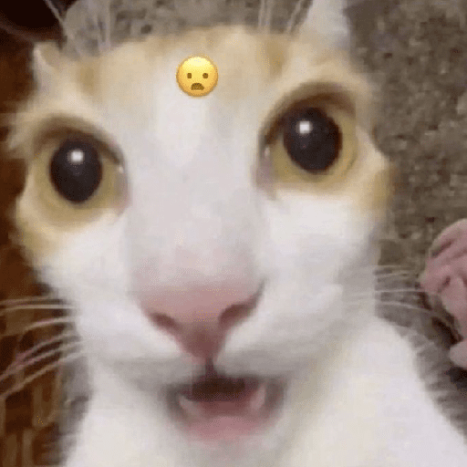 Kucing meme 5