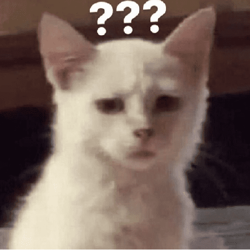 Kucing meme 4