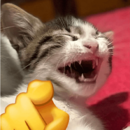 Kucing meme 3