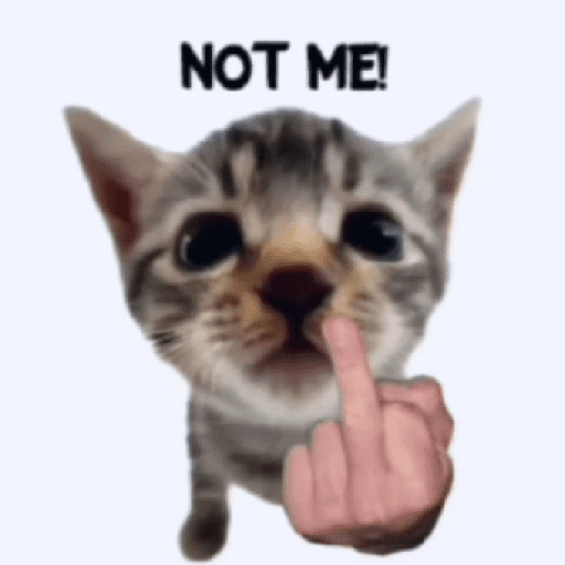 Kucing meme 14