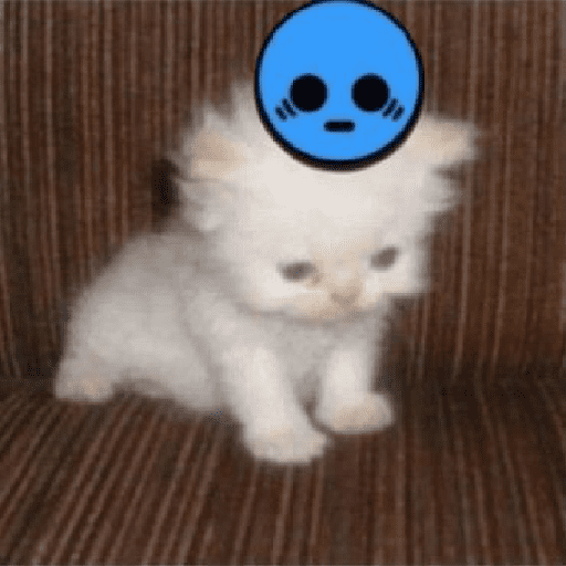 Kucing meme 15