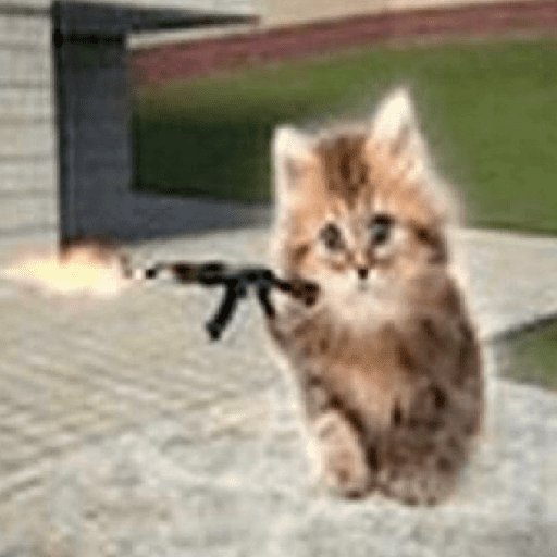 Kucing meme 22