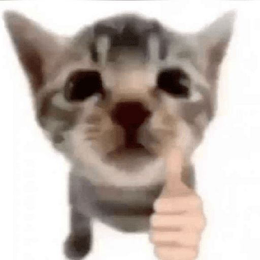 Kucing meme 25