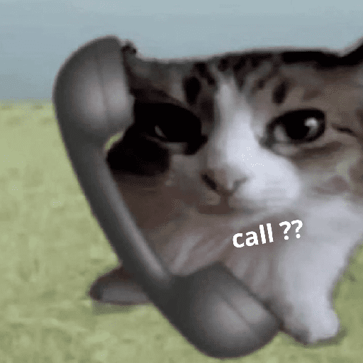 Kucing meme 26