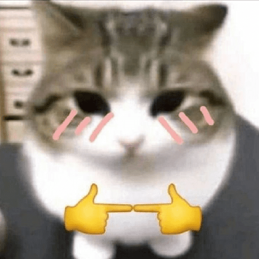 Kucing meme 10