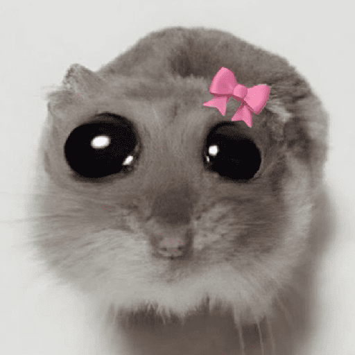Kucing meme 11