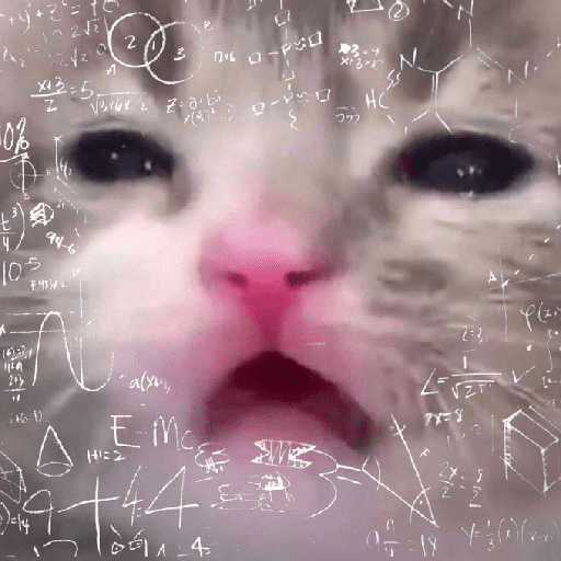 Kucing meme 13