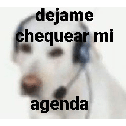 Perritos graciosos 🐶‼️ 4