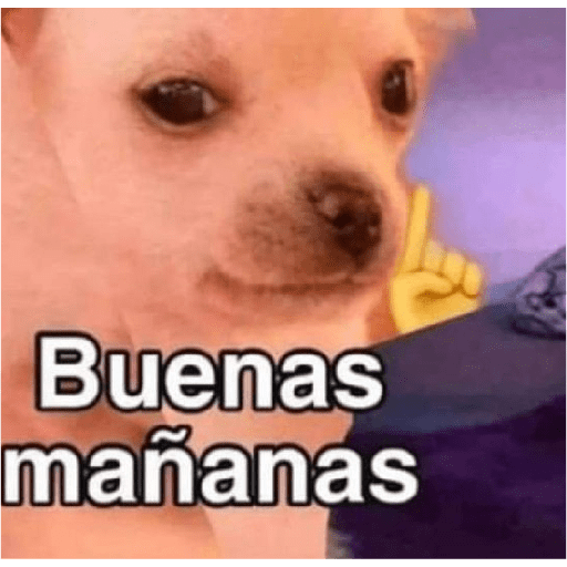 Perritos graciosos 🐶‼️ 6