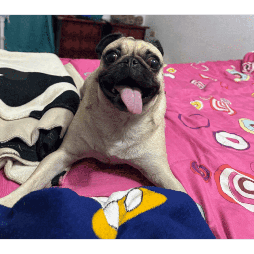 Mis pegatinas 14