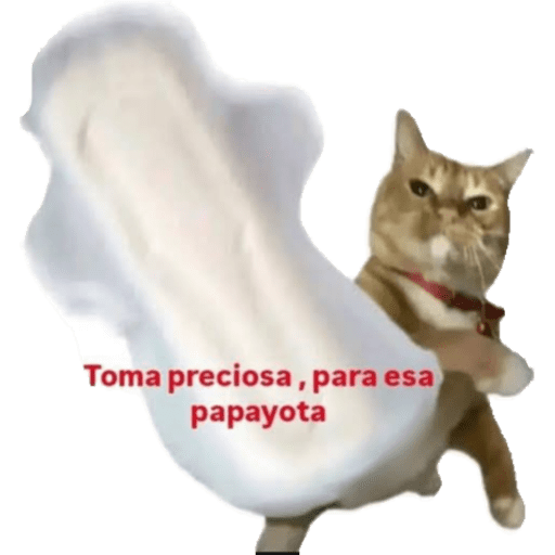 Mis pegatinas 21