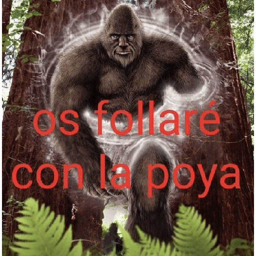 Lol lmao 7