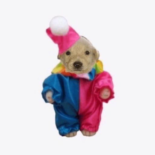 Bitchass hamster 10