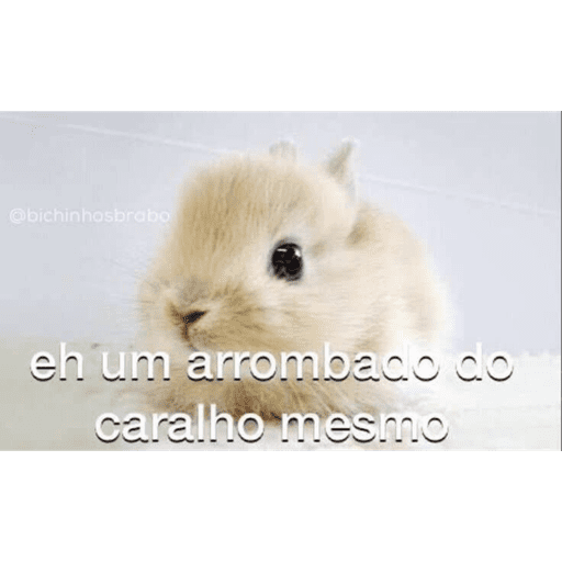 Bitchass hamster 11