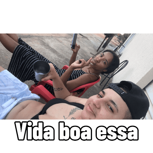 Minhas figurinhas 14
