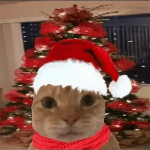 Navidad 🎄🎅🎅 1